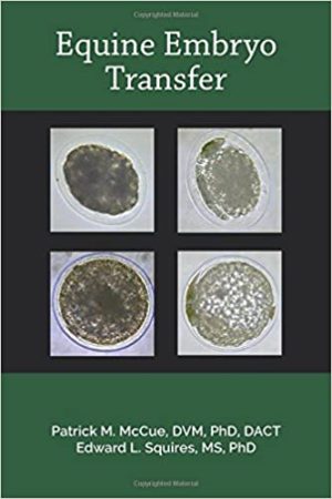 Equine Embryo Transfer