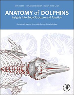 Anatomy of Dolphins Insights Into Body Structure and Function