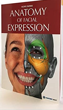 Anatomy of Facial Expression