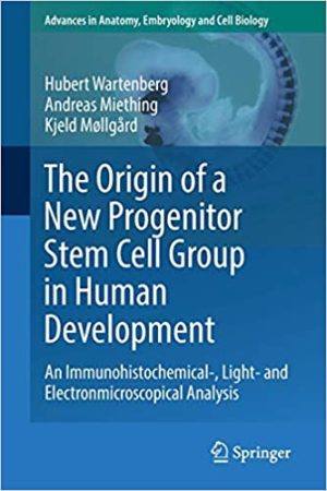 The Origin of a New Progenitor Stem Cell Group in Human Development An Immunohistochemical Light and Electronmicroscopical Analysis