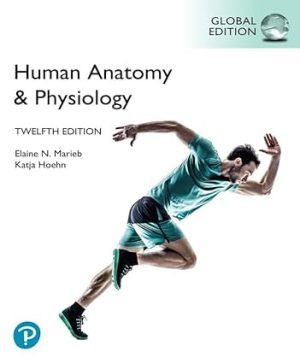 Human Anatomy & Physiology 12th Edition By Elaine Marieb