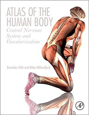 Atlas Of The Human Body Central Nervous System And Vascularization