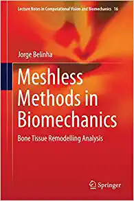 Meshless Methods in Biomechanics Bone Tissue Remodelling Analysis