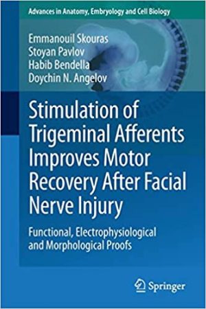 Stimulation of Trigeminal Afferents Improves Motor Recovery After Facial Nerve Injury Functional Electrophysiological and Morphological Proofs