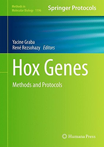 Hox Genes Methods and Protocols