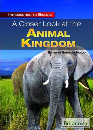 A Closer Look at the Animal Kingdom