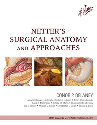 Netters Surgical Anatomy and Approaches