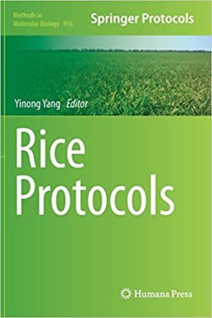 Rice Protocols