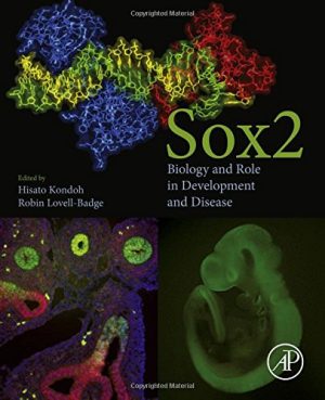 Sox2 biology and role in development and disease