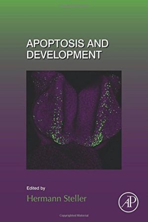 Apoptosis and Development