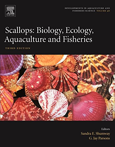 Scallops Biology Ecology Aquaculture and Fisheries