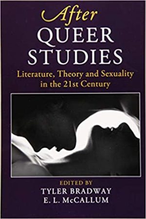 After Queer Studies Literature Theory and Sexuality in the 21st Century