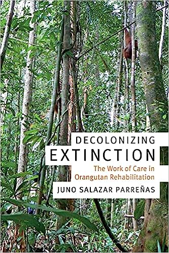 Decolonizing Extinction The Work of Care in Orangutan Rehabilitation