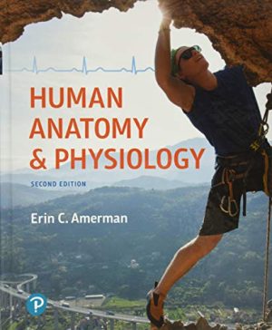 Human Anatomy & Physiology 2nd Edition By Erin C Amerman