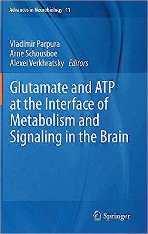 Glutamate and ATP at the Interface of Metabolism and Signaling in the Brain