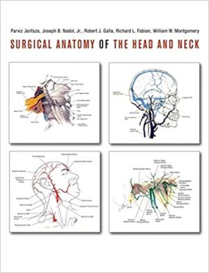 Surgical Anatomy of the Head and Neck