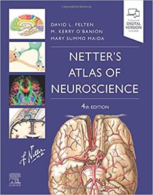 Netters Atlas of Neuroscience 4th Edition